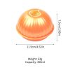 1pc Onion Plastic Storage Box; Onion Shaped Food Saver Storage Container; 450ml/15.8oz - Orange