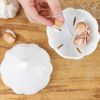 1pc White Garlic Plastic Storage Box; Fruit And Vegetable Shaped Food Saver Storage Container; 350ml/12.3oz - White